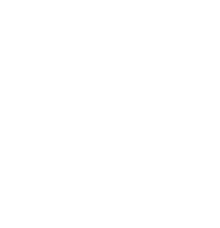 Logo footer