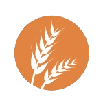 Gluten