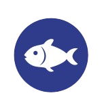 Pescado
